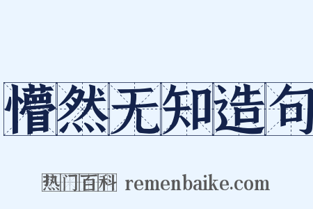 懵然无知造句是什么意思的图片